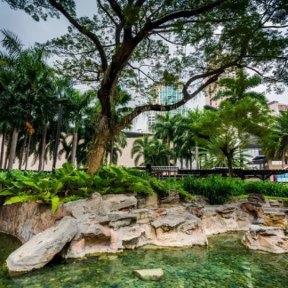 Jose Yao Campos Park